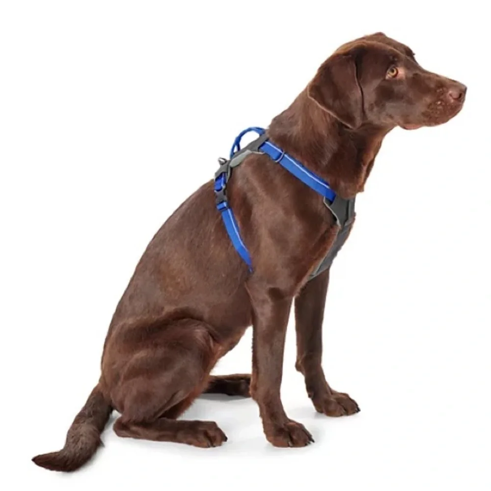 NEW Orvis Tough Trail 4 Point Dog Harness Size Medium Blue